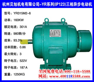 160KW  YRϵ(IP23)첽綯 YR315M2-6